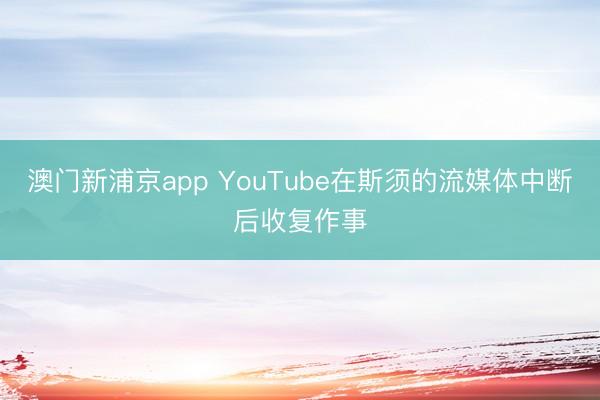 澳门新浦京app YouTube在斯须的流媒体中断后收复作事