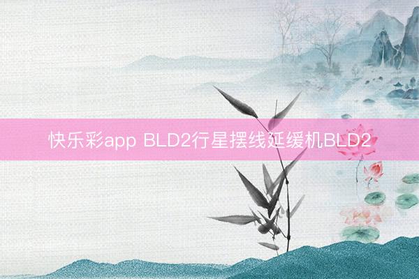 快乐彩app BLD2行星摆线延缓机BLD2